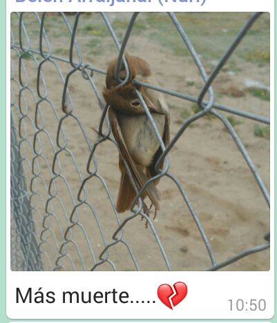 MAYTEMARTINSAN2's tweet photo. Arraijanal. No os da vergüenza? @malaga @CsMalaga @PSOEmalaga @CsMalaga @Juancassa @aDanielPerez @pacodelatorrep https://t.co/j7ktklX1Nn