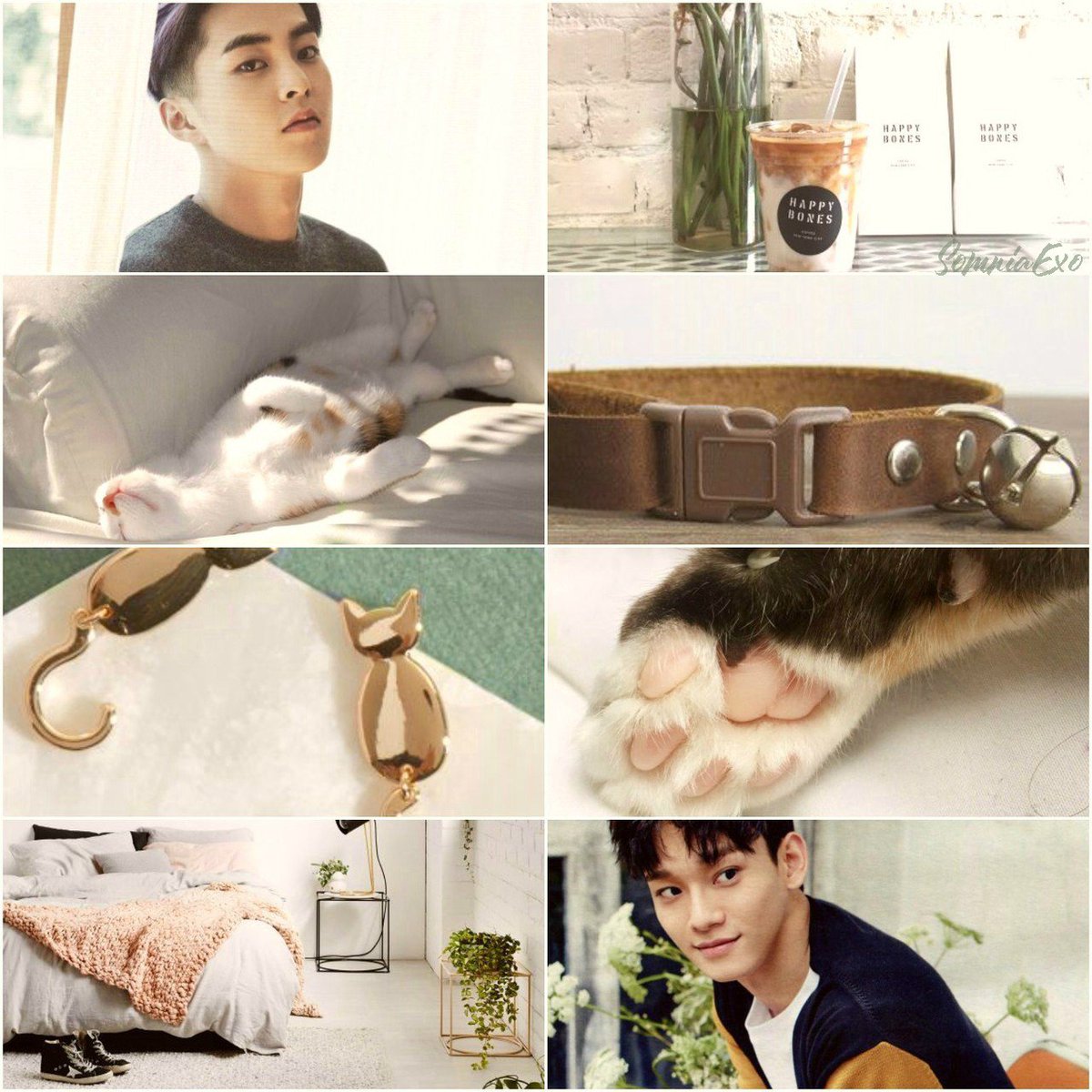 somniaexo's tweet photo. Master Minseok and his kitty Jongdae (for anon)
#somniaexo #EXO #xiuchen #moodboard #adminPurse #Asteria
https://t.co/PNvZL0jxPd https://t.co/M58sUQHFfS