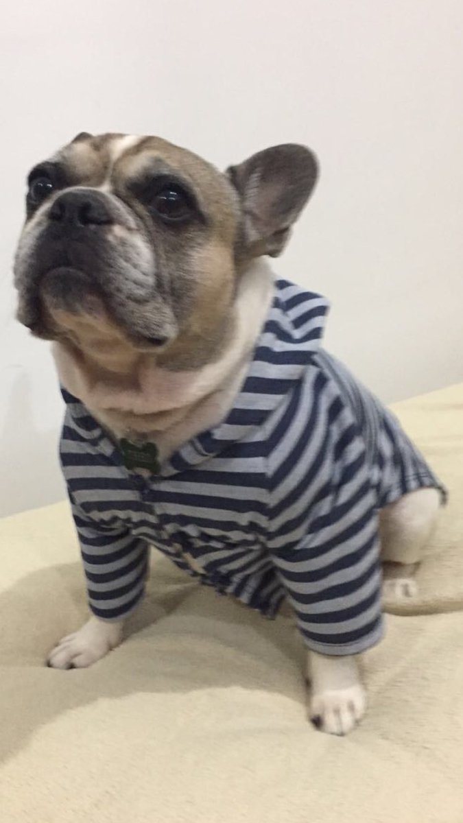 naise's tweet photo. Coleção outono-inverno. Theo preparado! https://t.co/u6uXlRj6kH