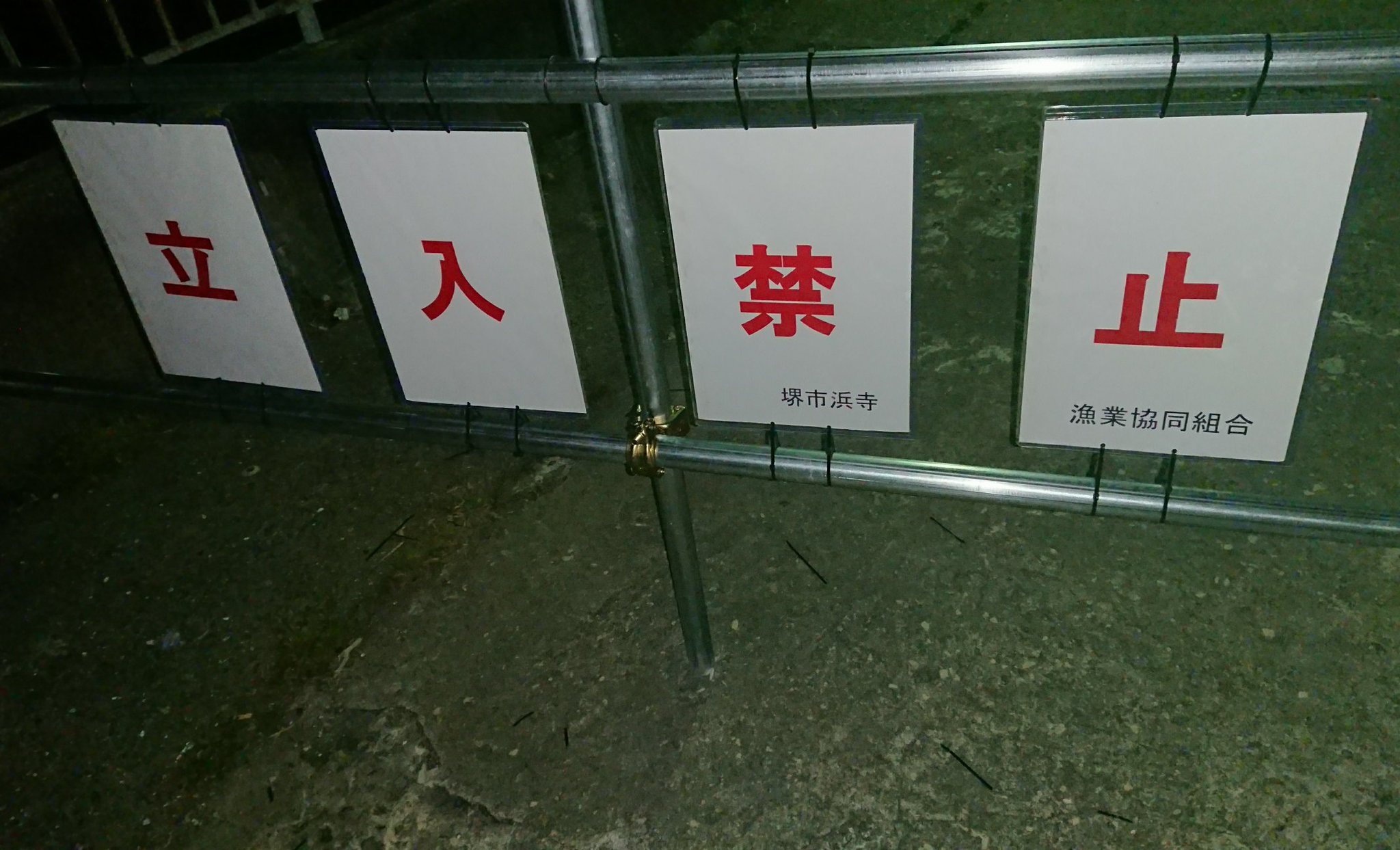 じろう 深夜に石津漁港を 見てきました 現実でした 駐禁 ゴミ等で漁業関係者が 嫌気がさしたんですね 釣りができた頃の看板が まだそのまま残っていて 物悲しい 誰や あんな気のいい 漁港のおっちゃん達に 絡んだ不届き者は 釣り じろう 深夜に石津漁港を 見てきました 現実でした 駐禁 ゴミ等で漁業関係者が 嫌気がさしたんですね 釣りができた頃の看板が まだそのまま残っていて 物悲しい 誰や あんな気のいい 漁港のおっちゃん達に 絡んだ不届き者は 釣り