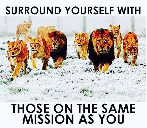 DFosterGray's tweet photo. The company you keep affects the success you reap. #KnowYourTribe #writerslife #amwriting https://t.co/gju7qxjnXo