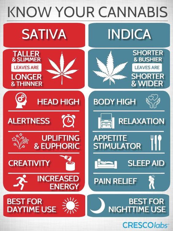 At Breeze we are proud to help people obtain their MM card so they can get the treatment they deserve. Many of you may know the significance of today, let's use it to help spread a positive message. By sharing information we help destigmatize some of the thoughts around cannabis.