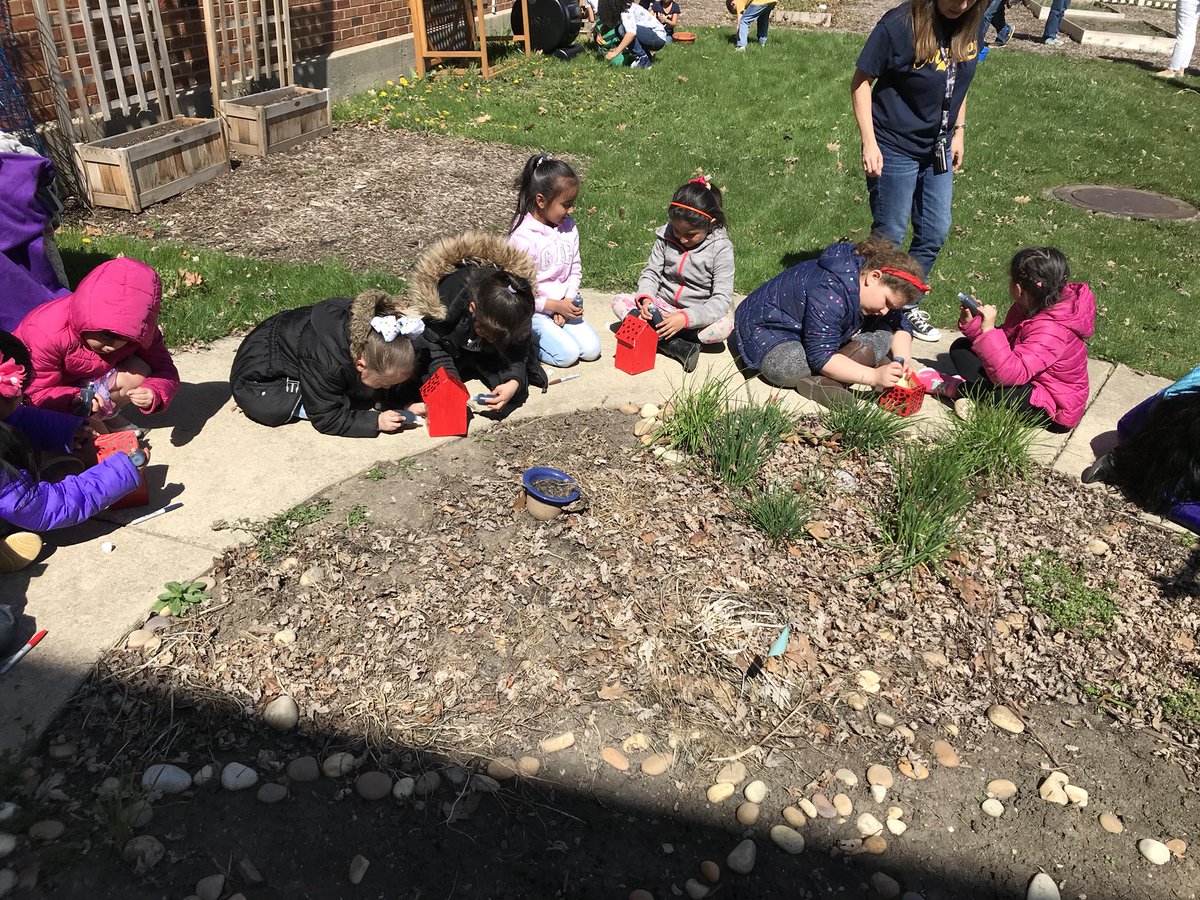 msdiazclase's tweet photo. Gracias @madisongarden44 por hacernos parte de hacer hogares para las mariquitas en nuestro jardín de la escuela #madison44 #weare44 https://t.co/RieSXU1w8R