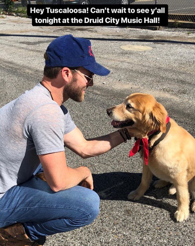 DrakeWhite's tweet photo. Happy Birthday Writer!! Retweet and Follow for a cool prize... for your favorite pet! Also join our Fan Page at: https://t.co/zmUIfq6lTG https://t.co/pxBrvileaX