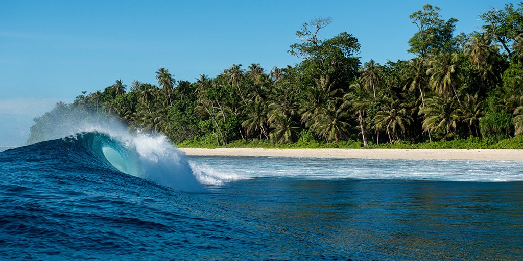 With #EarthDay fast approaching, we are recognizing the incredible ongoing efforts of our grassroots network. We are also asking that you take action, not only on #EarthDay, but everyday to protect our coastlines. surfrider.org/coastal-blog/e… #CleanWaterHealthyBeaches