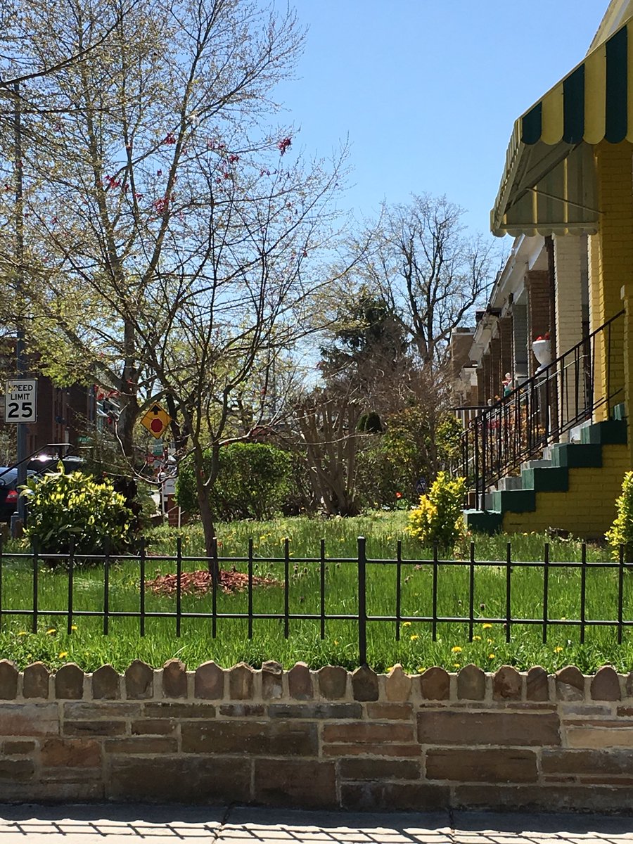 UrbanAdvSquad's tweet image. It never, ever gets old. #DCViews #Outdoors #UrbanHikes #Petworth #DCLove