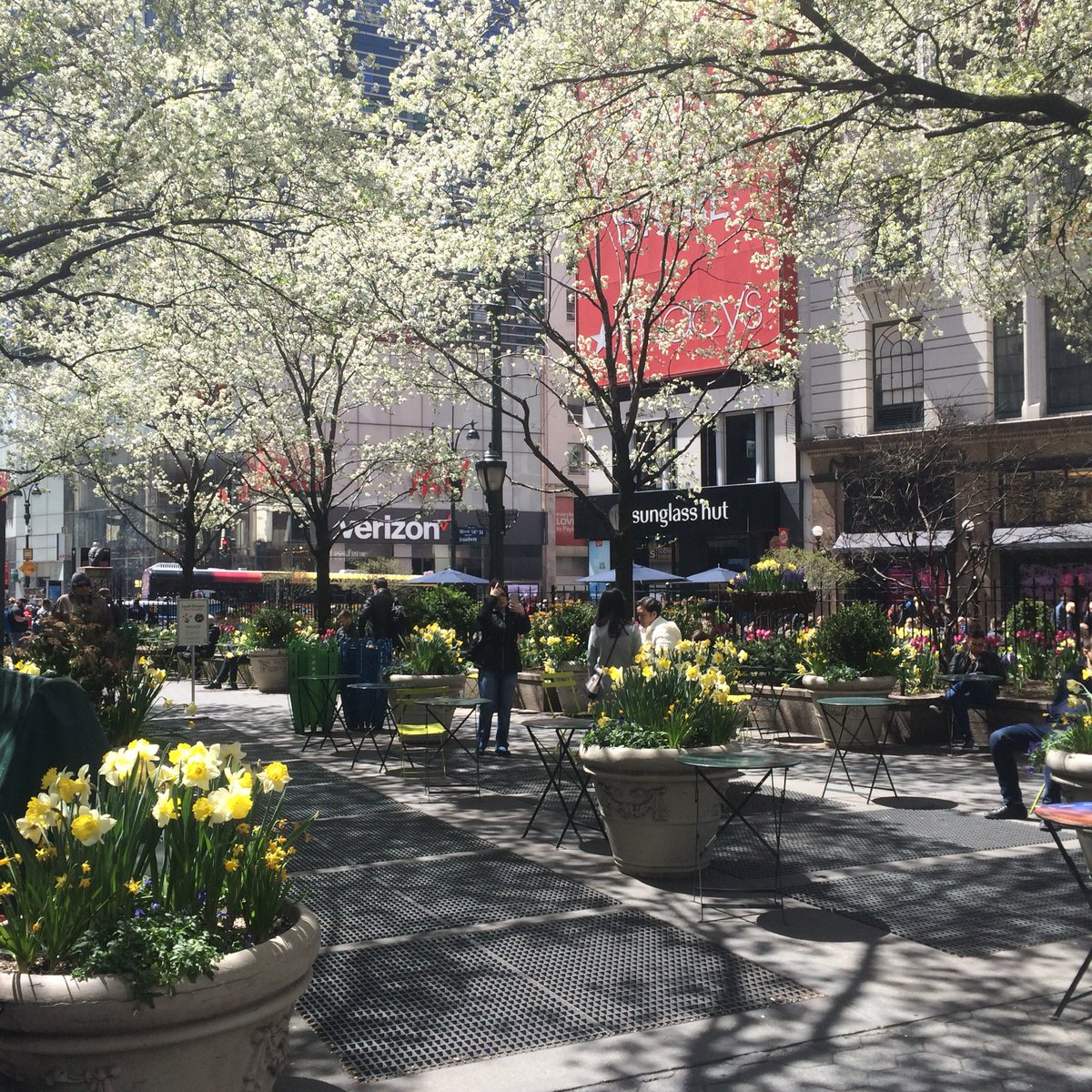Siovhantweets's tweet photo. Windy but gorgeous in Manhattan this afternoon. ✨🌬☀️🌷🌼🗽✨
#nyc #fridayfeeling #inbloom #cityparks #EarthDay2018 #naturalhair #minitwists https://t.co/ty5j87b6JD