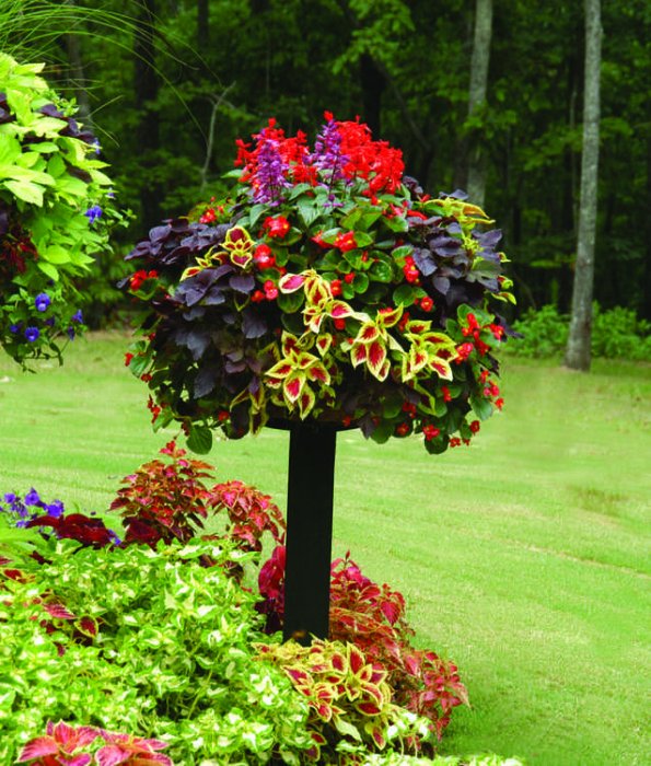 vcreekgarden's tweet photo. Beautiful Garden Idea Using Bird Bath #Planter - https://t.co/ITqnOVM5ZD
#BirdBathPlanter #CreativePlanter https://t.co/wVGKpT6Bmo