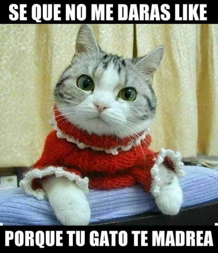 sergat0's tweet image. Te atreves?