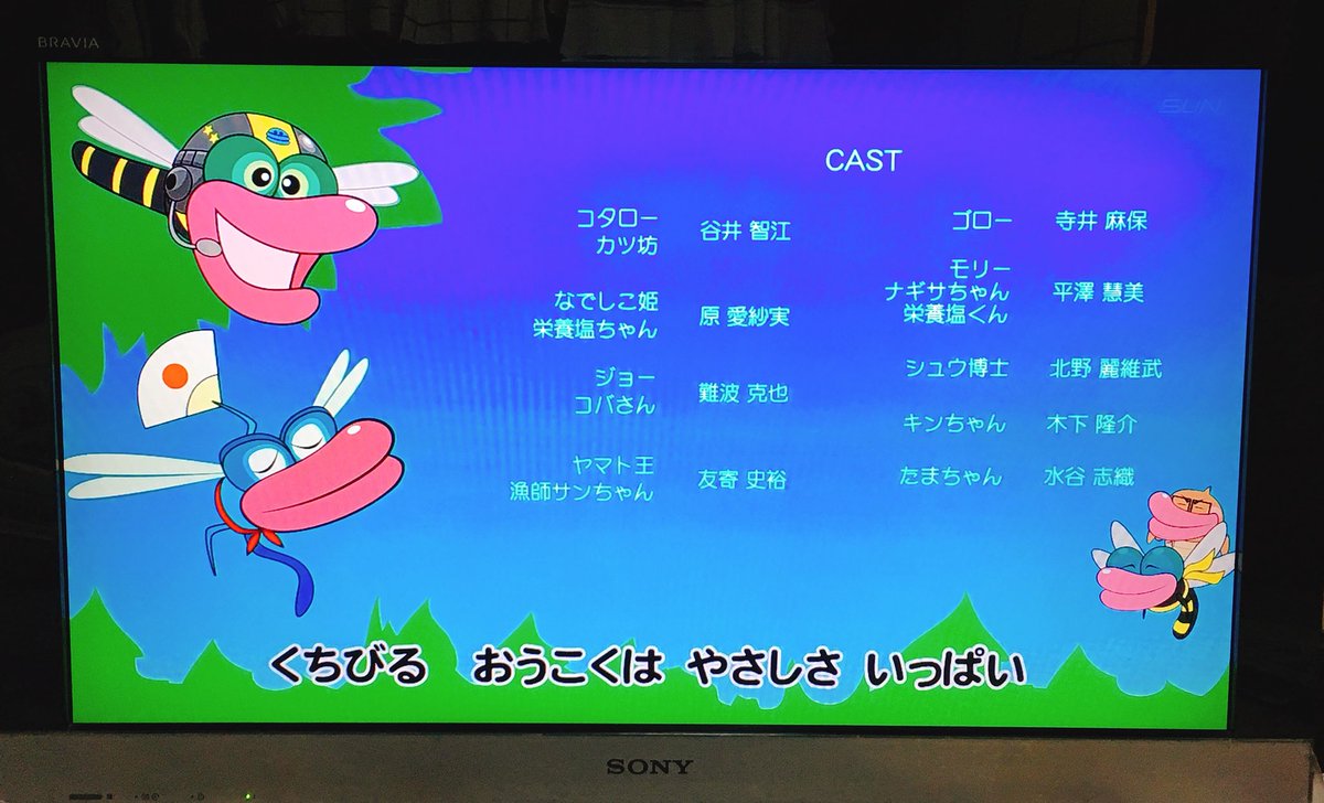 メダカのコタロー メダカのコタロー