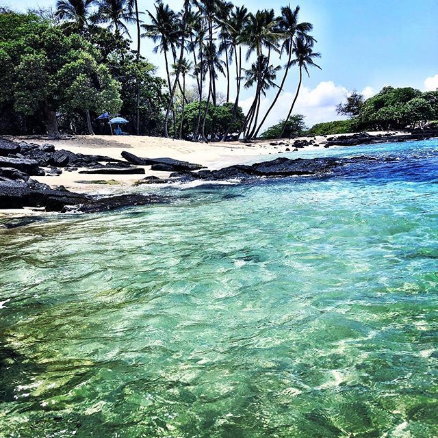 JulieZiemelis's tweet photo. It’s beautiful, right!? If you want to see this beach and four more of the most beautiful beaches on the #bigislandofhawaii check out the video in the on my bio! We had a perfect blue day to film #hapunabeach #maunakeabeach #waileabeach #beach69 #kuabay… https://t.co/ek8kVR5Ci6 https://t.co/JlFqYmUNvq