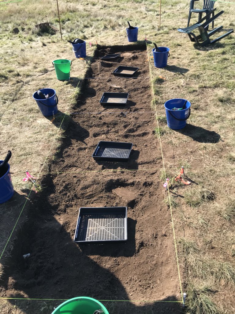 A simulated archaeological dig for kids - such a fantastic way to make history the most exciting thing ever! Every school should have one of these. #KLAP2018 #acuedu_p