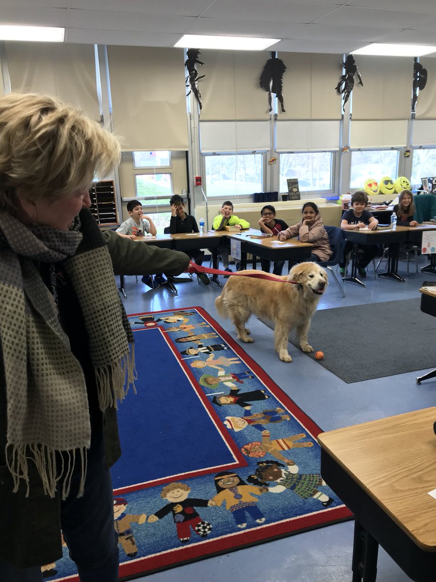 4Lovejoys's tweet photo. When Finn refuses to leave your room so your kids can’t take their test! #4Lj #Fridayantics #Muddydog https://t.co/oEOc2zKEBF