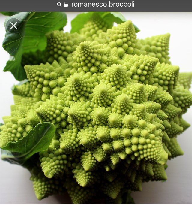 Chris__Brum's tweet photo. Romanesco Broccoli, fractals and insurance. Just one of the interesting conversations that came out of our agents and brokers interest group dinner discussion about repeating patterns at the macro and micro level. #CPCU18 #cpcuchampion @CPCUA_B https://t.co/qKrOWHn7gY
