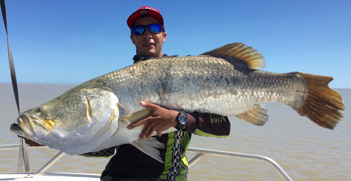 MattBrannRURAL's tweet photo. 134cm barra caught in the #TopEnd ... apparently it towed the boat 😩 https://t.co/GI4XWL9sfO 📸 Daniel Luttig https://t.co/XAiEV9jykT