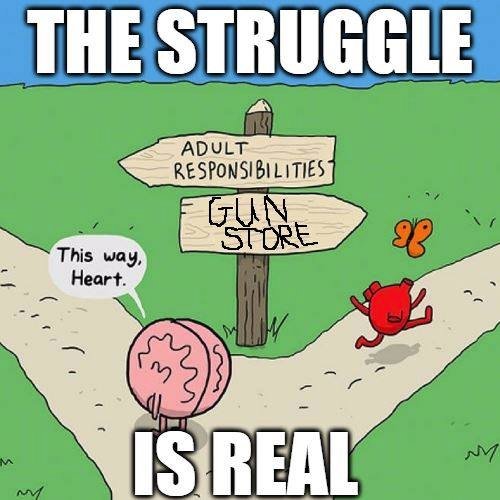 I have a hard time following my brain when my heart leads down the road I want to travel. #guns #ammo #ccw #iwb #owb #2a

aliengearholsters.com