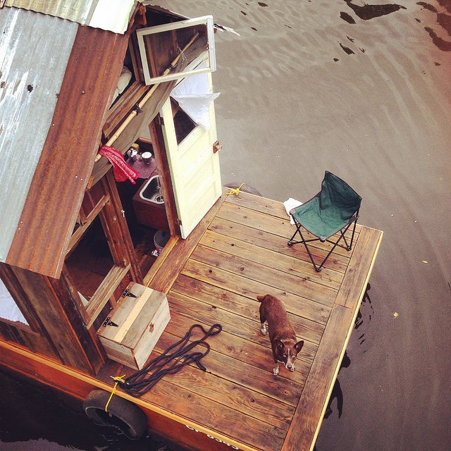 peoplesriver's tweet photo. Hazel, @gooddoghazel, ships hound on the Dotty every Secret History expedition since 2014 #DogsOfTwitter #cattledog #cattledogsofTwitter https://t.co/s91JCVWqtu
