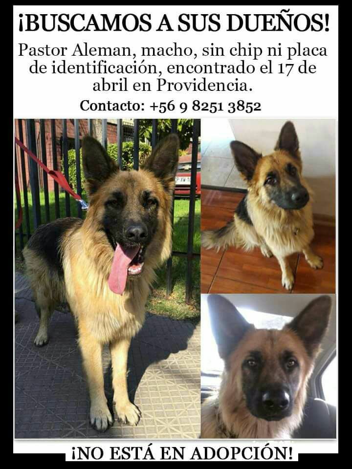 soledadcanalesrojas tweet media