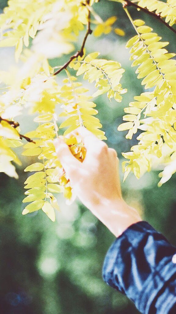 littlebugspace's tweet photo. ภาพมือ ภาพสวยๆ #วอลเปเปอร์มือถือ #วอลเปเปอร์ไอโฟน https://t.co/838I9mUCNB https://t.co/r0ewXUizkq