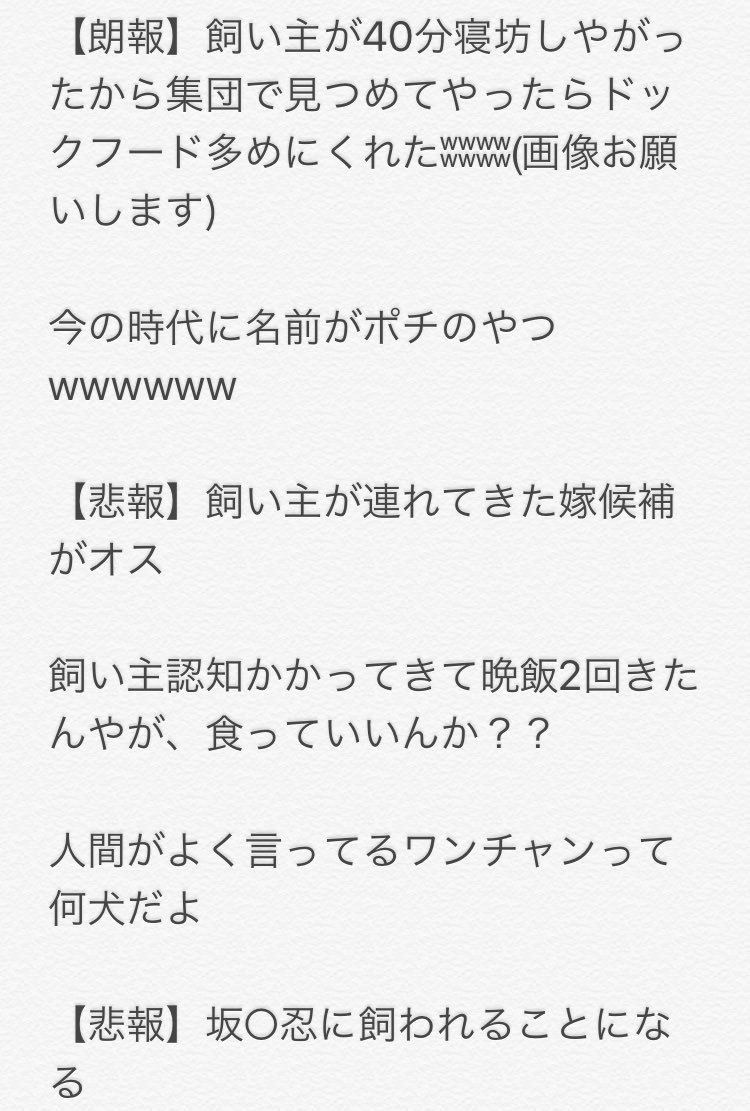 坊主 犬の世界に2chがあったら立ちそうなスレ大会 最優秀賞 そのまえに1 ワン Chだろ 金賞 チョコ食べたことあるけど質問ある 入選 朗報 ワイ 好きな犬のケツの匂いを嗅ぐことに成功 うちの飼い主が自己破産した件 犬鳴けば名無し なんで