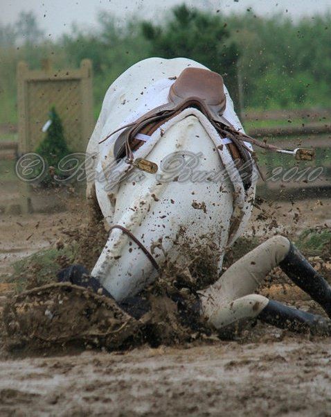 All I can say is 'OUCH' #horsepictures #horseimages #horseaccidents