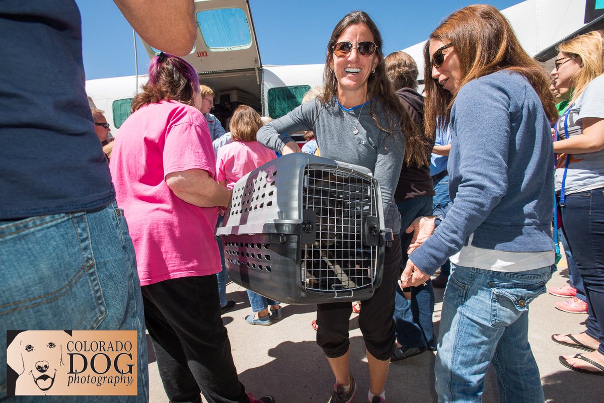 DogCoPilotInc's tweet photo. During #NationalVolunteerWeek please join us in thanking all the amazing volunteers who dedicate their time and resources to help DIMC fly at risk animals from overcrowded shelters to organizations that have room and adopters waiting for them! #flyingthemhome https://t.co/lk8ZfeNp47