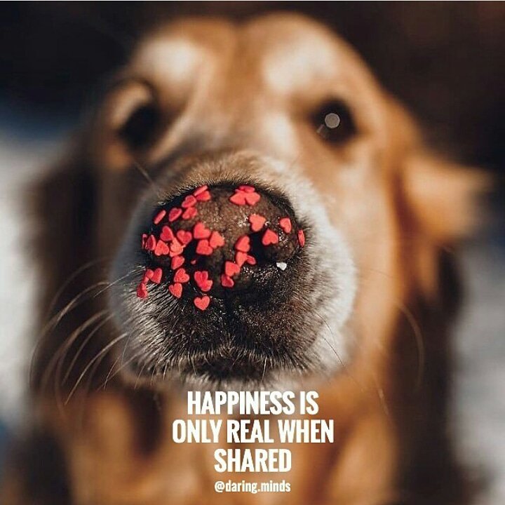Happiness is only real when shared.💥
<a href="/EntrepreneursTb/">SoundsTube</a> 
#motivation #inspiration #life #happy #happiness #happinessday #MotivationalQuotes
