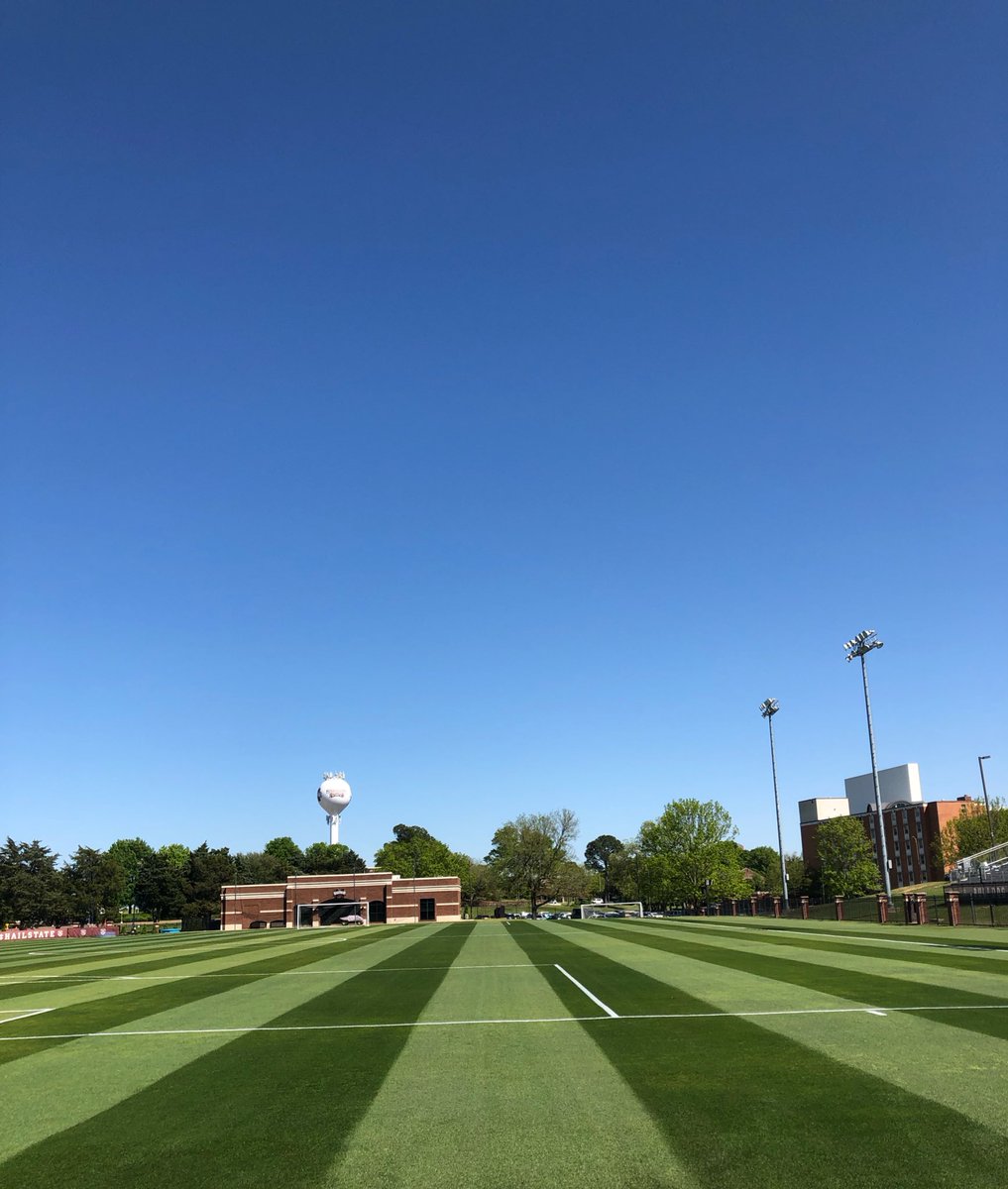 Feliciano Grimaldo tweet media