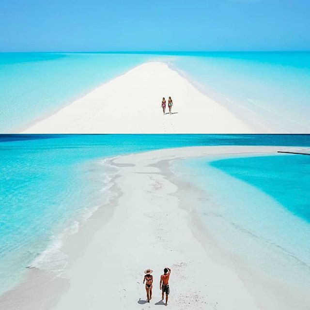 CanuckPalms's tweet photo. 📍National Look Alike Day
.
Can you tell the difference between The Maldives and Exuma Bahamas?  Which is which in this photo? 🤔  We often find ourselves looking at pictures that we think are The Maldives, only to discover they are actually Exuma.  Many people actually refer … https://t.co/IPVF1lOHwe