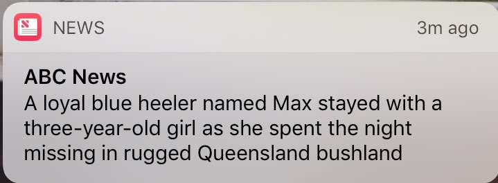 JoshButler's tweet photo. 🚨very good dog alert🚨 https://t.co/3gWButh0gr https://t.co/2j5ohTh17A