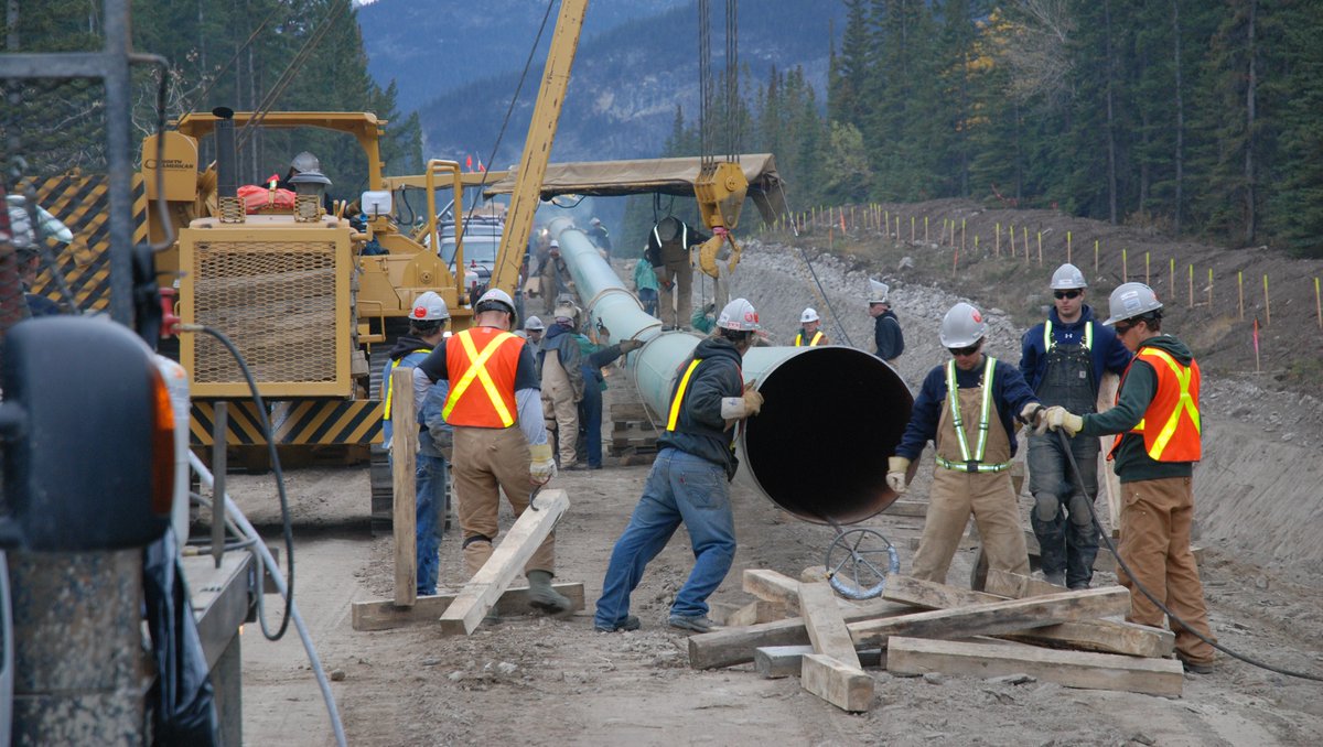CityNews Vancouver tweet media