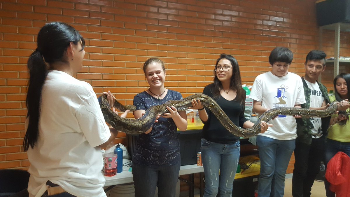 IBt_Cantil's tweet photo. Un gran Día de #PuertasAbiertas_IBt en el herpetario @IBt_Cantil ! 
Muchas gracias a todos nuestros voluntarios por su trabajo y entusiasmo! @ibt_unam https://t.co/eVkHYkoRHx