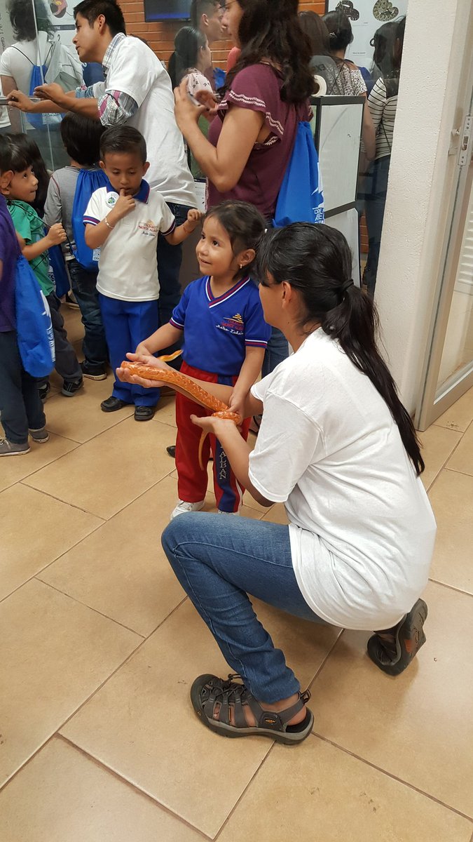 IBt_Cantil's tweet photo. Un gran Día de #PuertasAbiertas_IBt en el herpetario @IBt_Cantil ! 
Muchas gracias a todos nuestros voluntarios por su trabajo y entusiasmo! @ibt_unam https://t.co/eVkHYkoRHx