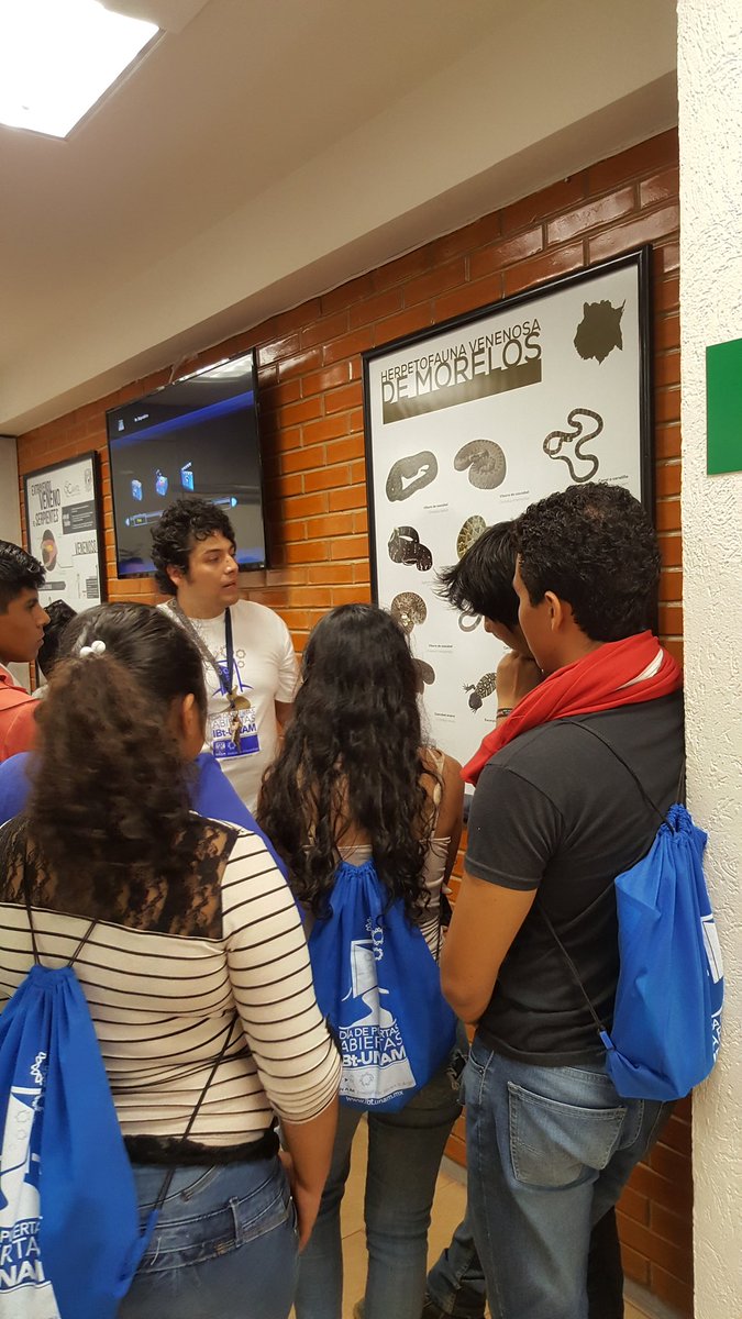 IBt_Cantil's tweet photo. Un gran Día de #PuertasAbiertas_IBt en el herpetario @IBt_Cantil ! 
Muchas gracias a todos nuestros voluntarios por su trabajo y entusiasmo! @ibt_unam https://t.co/eVkHYkoRHx