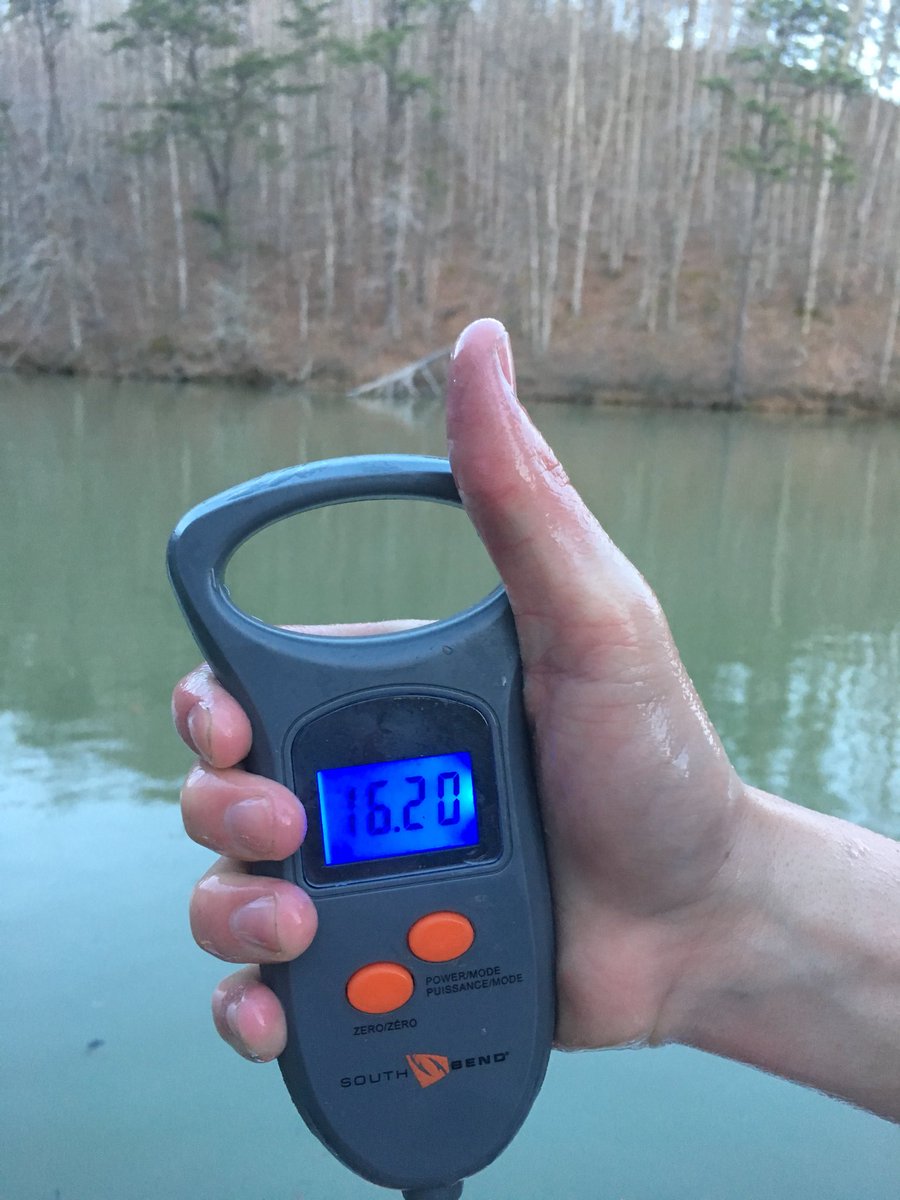sansomfishing's tweet photo. Put the heat em’ today, 16.20 with our best 4! Lost a 3 1/2 that would’ve put us over the 19lb mark maybe close 20lbs. Can’t wait for Sunday!! East Lynn is treating me well https://t.co/u1kZj7ORJs