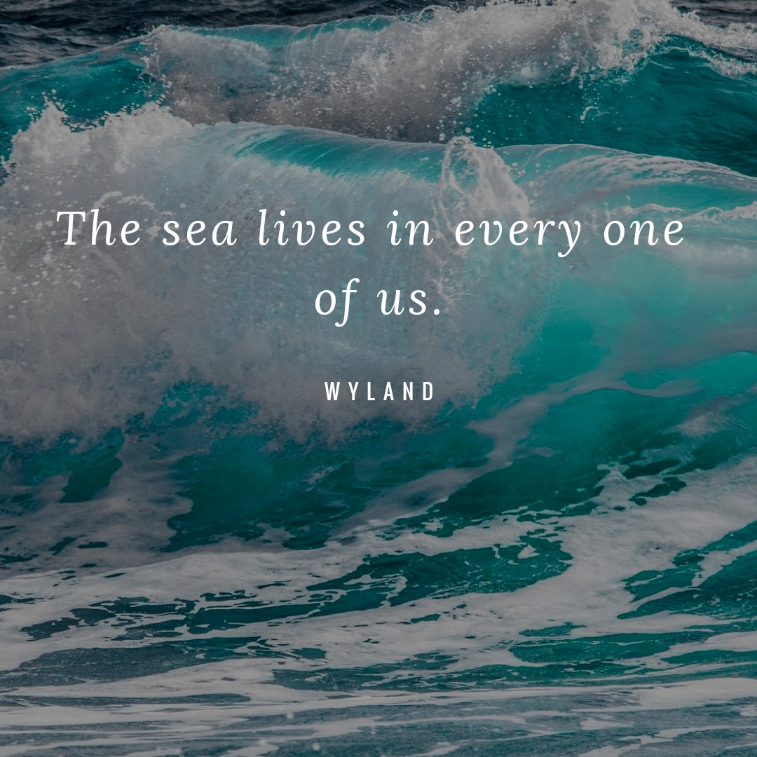 fabonbeach's tweet photo. The sea lives in every one of us. #quoteoftheday https://t.co/hL5BAv3lfl