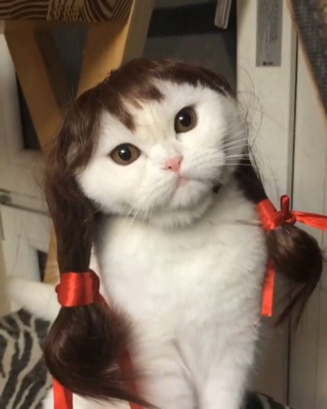 FearThisDoll's tweet image. Isn’t she pretty?