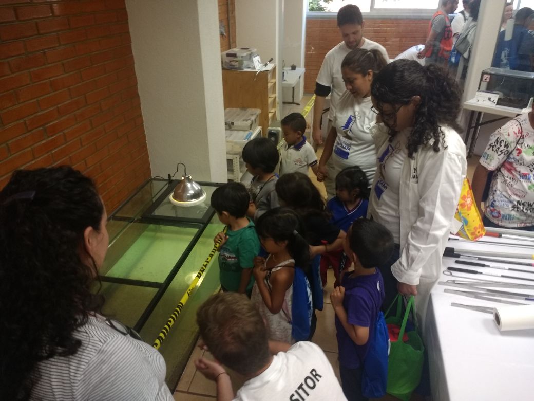 IBt_Cantil's tweet photo. Más imágenes del Día de #PuertasAbiertas_IBt! @IBt_Cantil @ibt_unam https://t.co/8x4tTmY13t