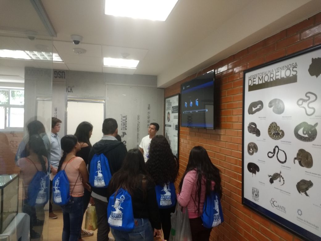 IBt_Cantil's tweet photo. Más imágenes del Día de #PuertasAbiertas_IBt! @IBt_Cantil @ibt_unam https://t.co/8x4tTmY13t