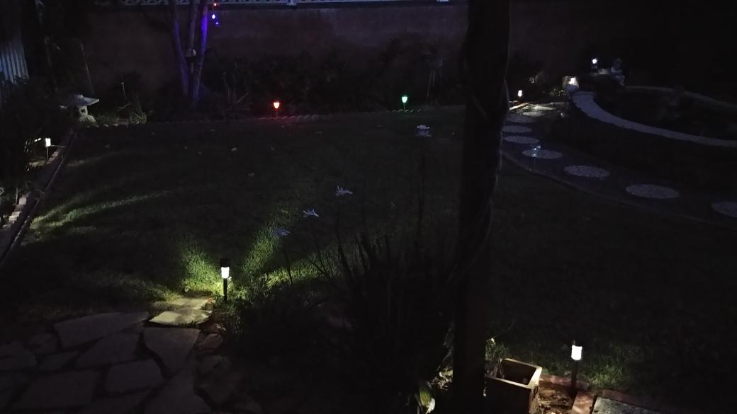 MartyRyanActor's tweet photo. #backyard #socal #refuge #Serenity https://t.co/WEKDWVC12M