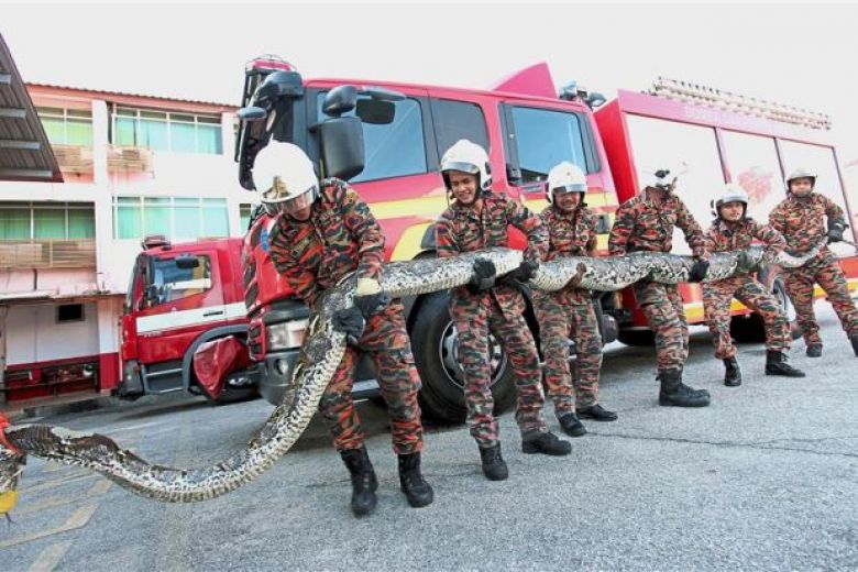 The Straits Times tweet media