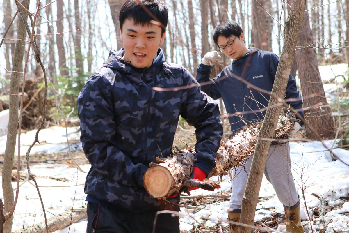 突哨山 突哨山