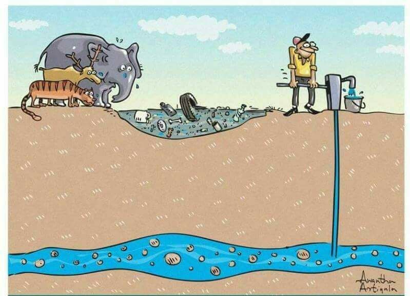 What mankind is doing to other species

#sustainability #WaterIsLife #WaterActionDecade #environment #plastickills #plastic

@ErikSolheim