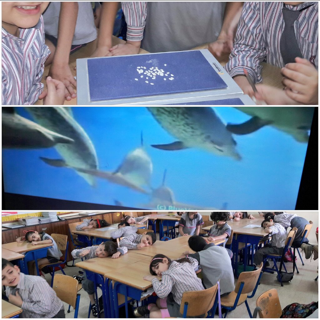 samah_hosna's tweet photo. " How does sound propagate and What does it need ? " 
Learners were able to recognize that sound needs matter to propagate after examining the three states of matter by their own .  
#SoundEnergy 🔊
#workfield  
@MakAishaSchool https://t.co/ZfP8i8k395