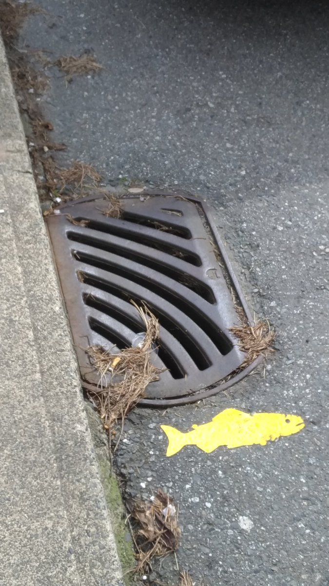 🍨🐀❄️💨 Ratcicle the Ice Rat 🖤🩶🤍💜 tweet media