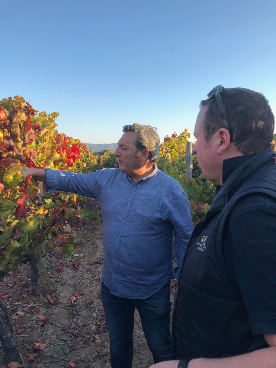 In the Ventisquero vineyards with their charming and talented winemaker Felipe Tosso. Some very exciting wines coming out of this innovative Chilean winery!  The ‘Tara’ Chardonnay a real standout.