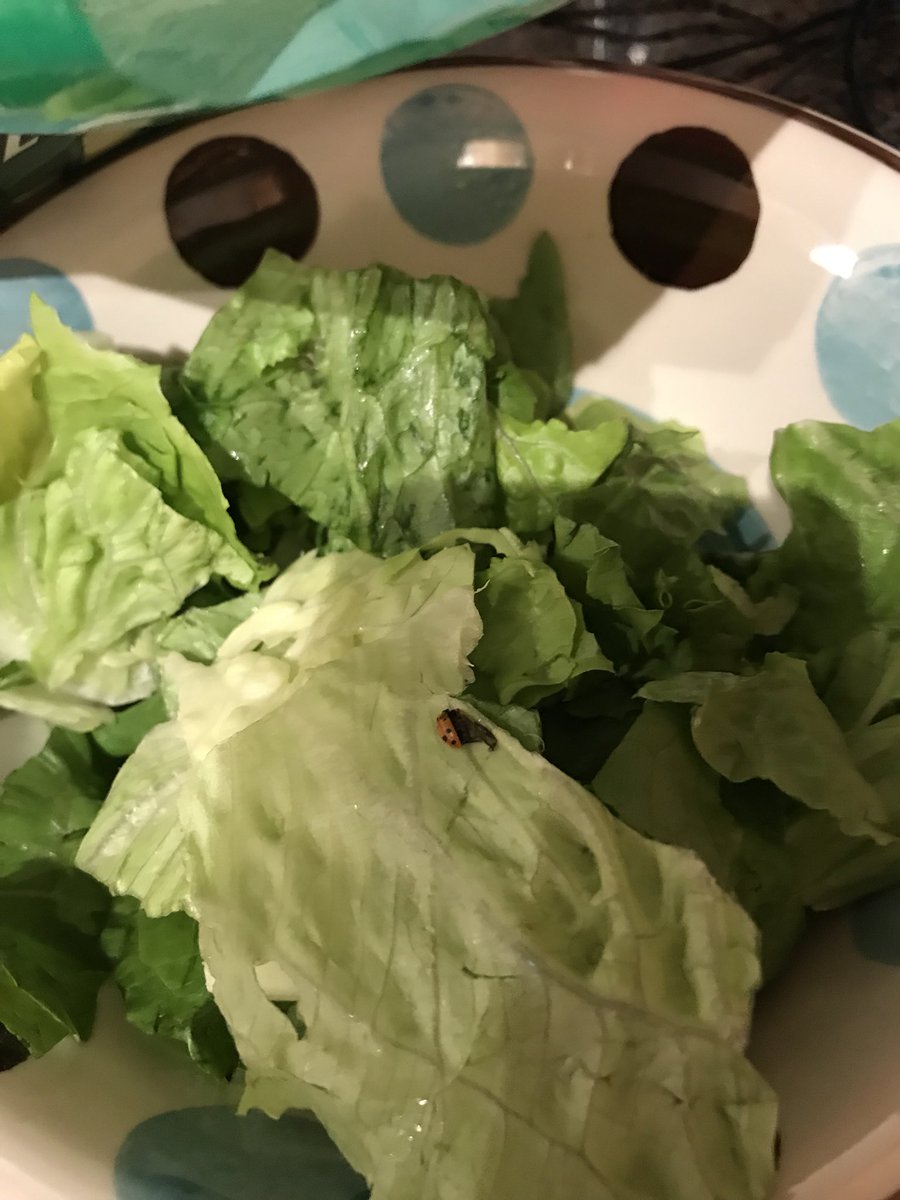 karltwittenbach's tweet photo. @FreshUpdates @Target 

PSA: Don’t get fresh express salad from target unless you want a dead lady bug on top 🤮 https://t.co/Sct3BRBGMF