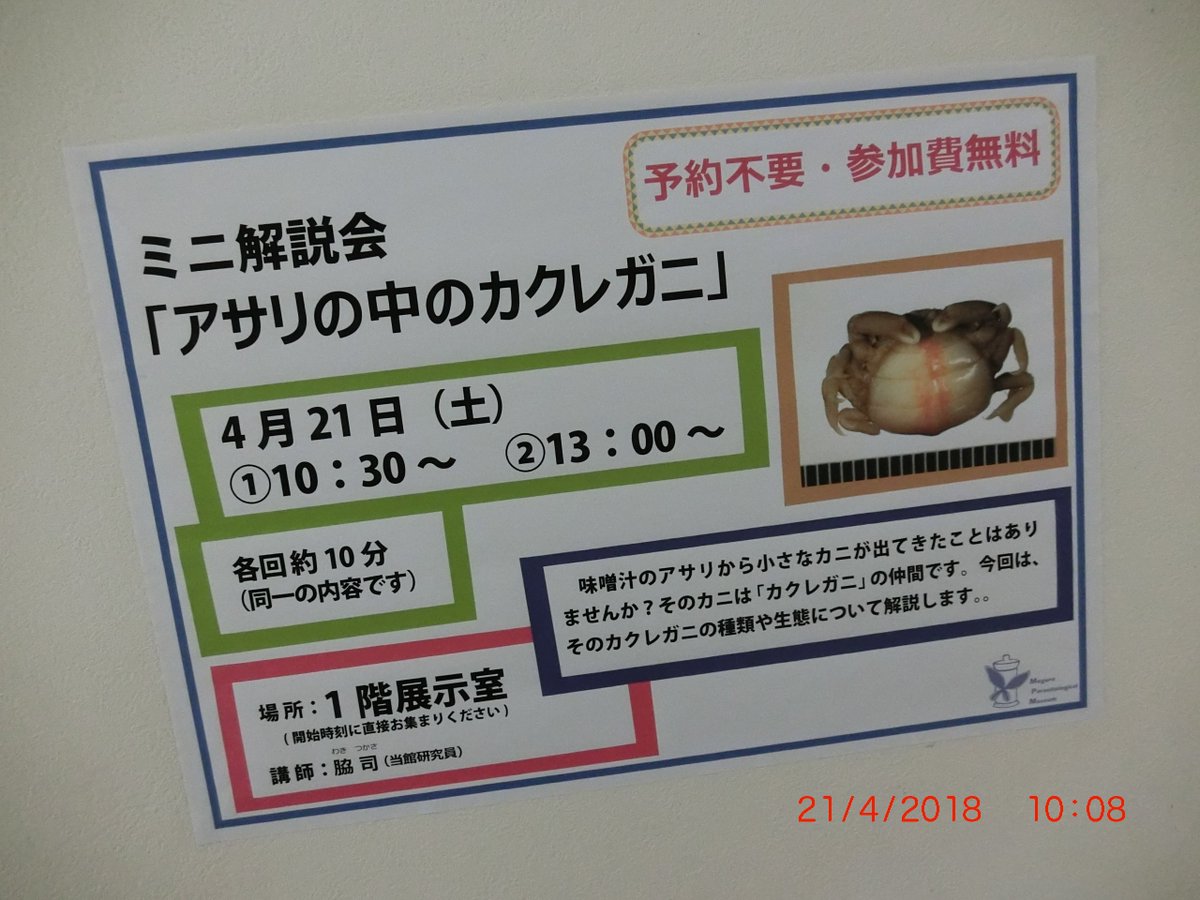 ピンノ ピンノ
