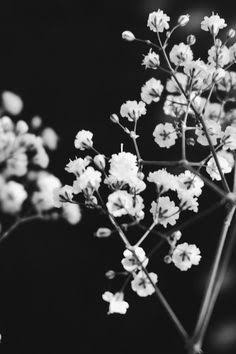 Zrehr's tweet photo. ┇  ┇  ┇
┇  ┇  ┇
┇  ┇  ✧ 
┇  ┇  
┇  ★  
┇
☾

       ᴬᴿᴱ ᵞᴼᵁ ᴵᴺˢᴬᴺᴱ ᴸᴵᴷᴱ ᴹᴱ?                  
                  ᴮᴱᴱᴺ ᴵᴺ ᴾᴬᴵᴺ ᴸᴵᴷᴱ ᴹᴱ? 

↻.ʀᴛ? https://t.co/6hAu4hq9g8