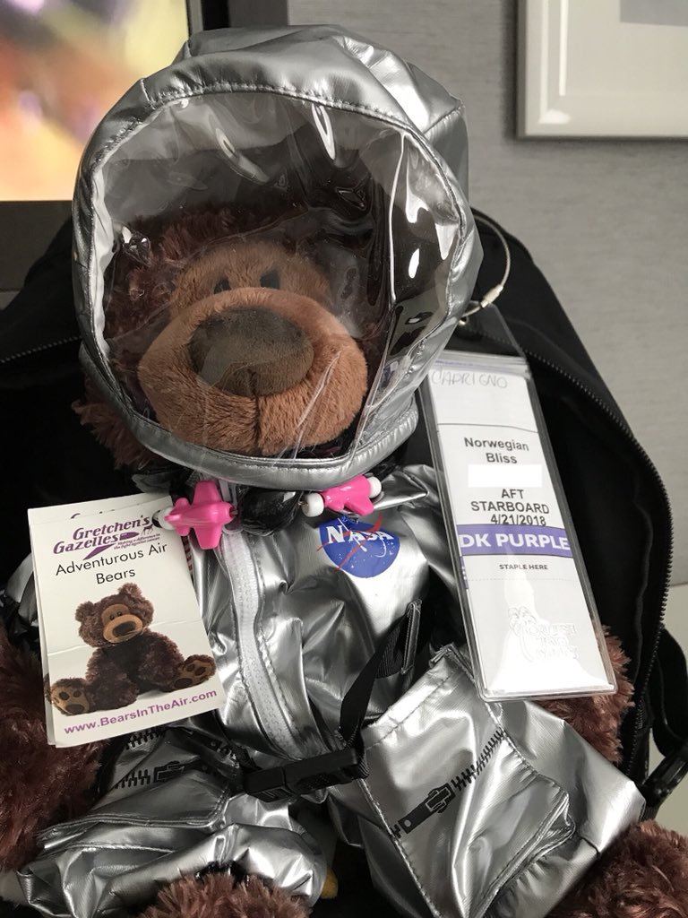 BearsInTheAir's tweet photo. NCL Bliss or Bust! You think this spacesuit works as a scuba suit? They were out of scuba suits at the Bear Store.... #AirBear001 @CruiseNorwegian https://t.co/uLg4IH9M92 https://t.co/TW1KG47yEA